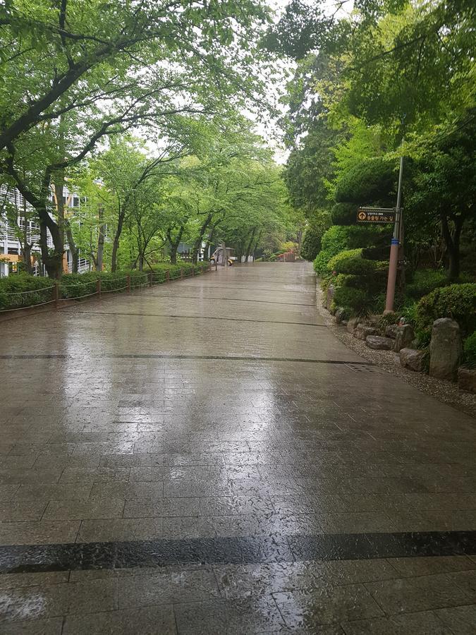 Vitamin Hotel Busan Bagian luar foto